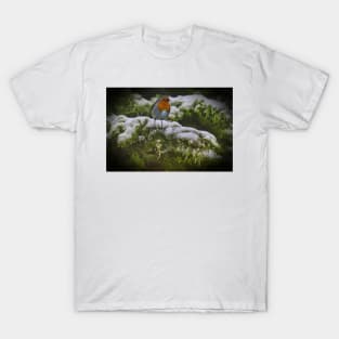 Winter Robin T-Shirt